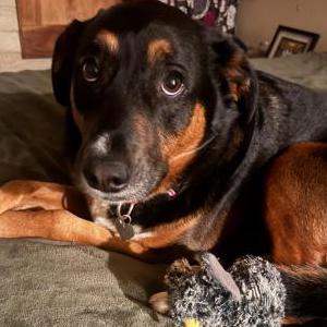Lost 1 Britt/Brittney (CO)