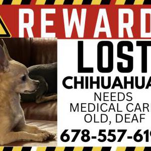 Lost 1 Bear (AL)