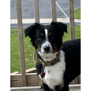 Lost 1 Sam (IL)