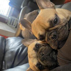 Lost Dog Peanut cashew