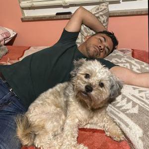 Image of Bombon, Lost Dog