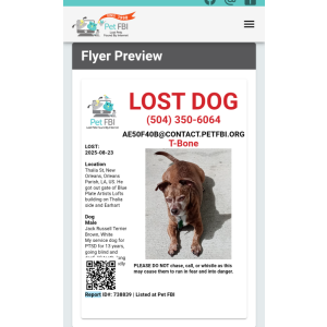 2nd Image of TBONE, Lost Dog