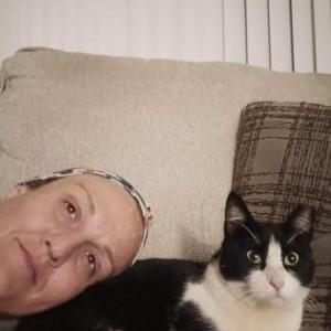 Image of Lovely, Lost Cat