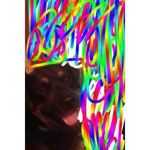 Image of Bear, Lost Dog