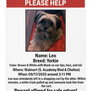 2nd Image of Leo, Lost Dog