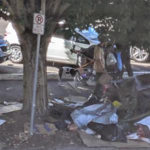 Image of Unknown, Found Dog