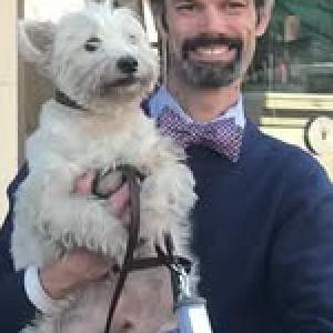 Image of Colin, Lost Dog