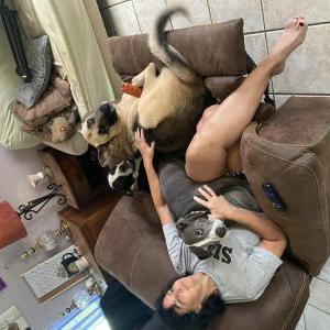 Image of Kali, Lost Dog