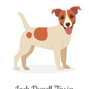 Image of Chaos, Lost Dog