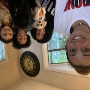 Image of Rocky, Lost Dog