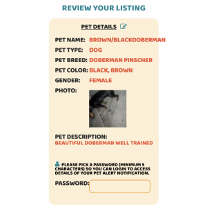 Found Dog brown/blackDoberman