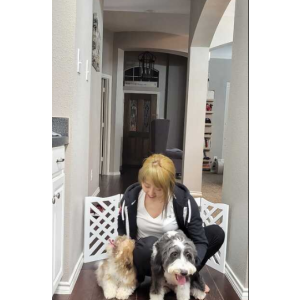 Image of Hershey, Lost Dog