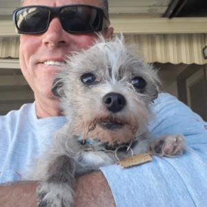 Lost Dog Sammie