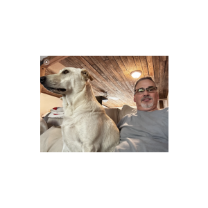 Image of Archie, Lost Dog