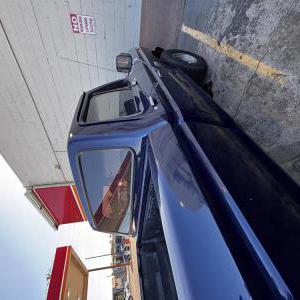 Image of Jess, Lost Dog