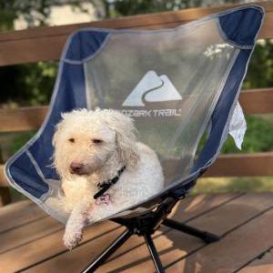 Image of Stormi, Lost Dog