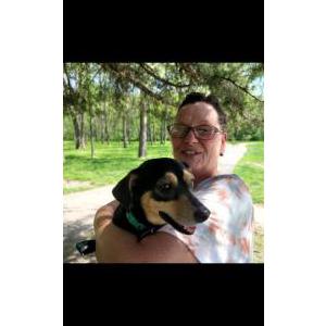 Image of Doreen, Lost Dog