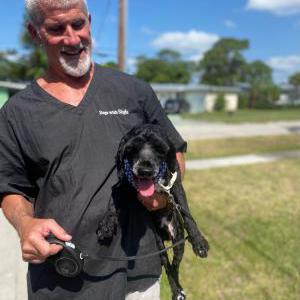 Image of Teddy, Lost Dog