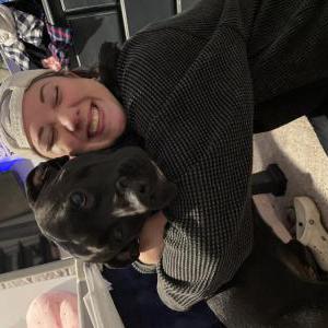 Image of Ash, Lost Dog