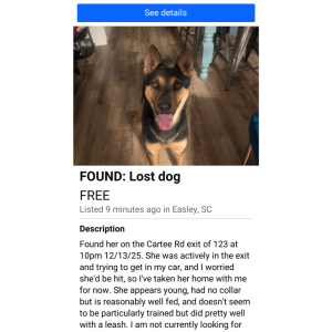 Image of unknown, Found Dog