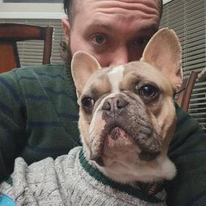 Lost Dog Ting Tang