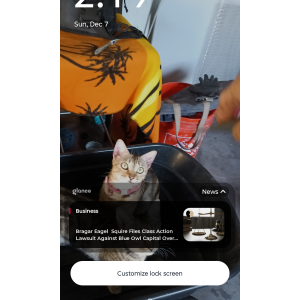 Image of Moma kitty, Lost Cat