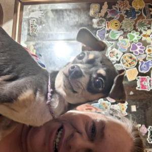 Image of Pp gray bean, Lost Dog