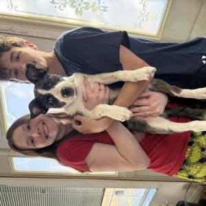 Lost Dog Greta