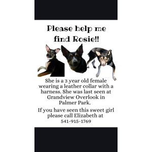 Image of Rosie, Lost Dog