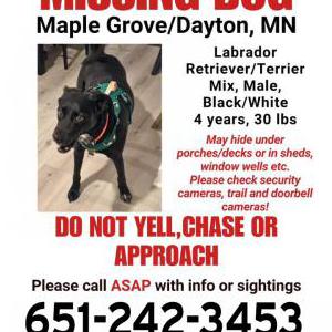 Image of Zeke, Lost Dog