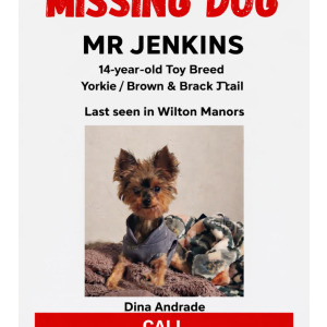 Lost Dog Mr Jenkins