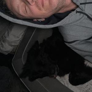 Image of Zoey, Lost Dog
