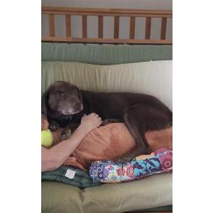 Lost 1 Whiskey (Missouri)