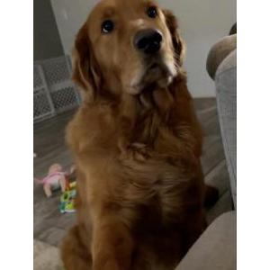 Lost 1 Oliver (Oklahoma)