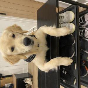 Lost 1 BB (Wisconsin)