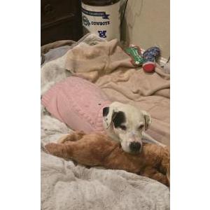 Lost 1 Taylor (Texas)