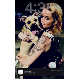 Image of Nala Mae, Lost Dog