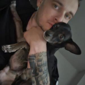 Image of Iggy, Lost Dog
