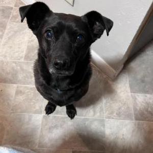 Lost 1 Toby Cortes (ID)