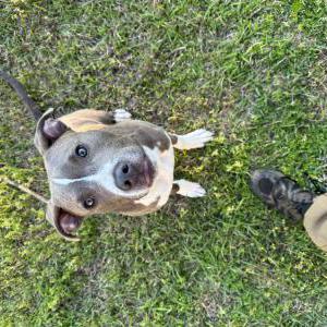 Lost 1 Leo (South Carolina)