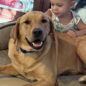 Lost 1 Poiras (Florida)