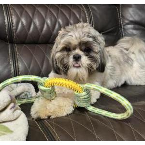 Lost 1 Sunny (North Carolina)