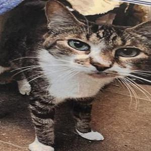 Lost 2 Luna (Florida)