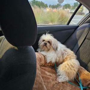 Lost 1 Cory (Florida)