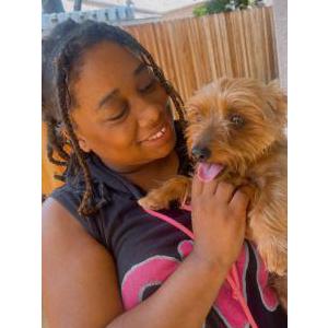 Image of Simba, Lost Dog