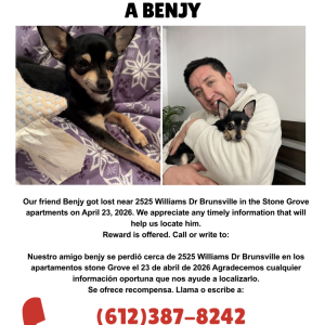 Image of Benjy, Lost Dog