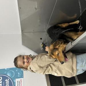 Image of Butterball, Lost Dog