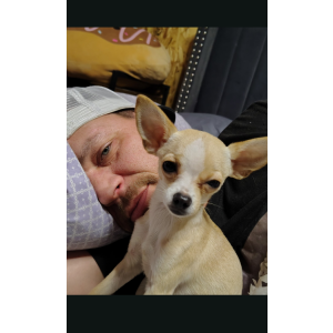 Image of Pearl, Lost Dog