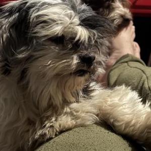 Lost 1 Jack (Kansas)