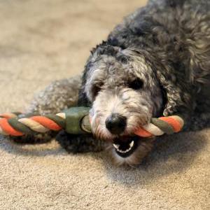 Lost 1 Nyla (Washington)